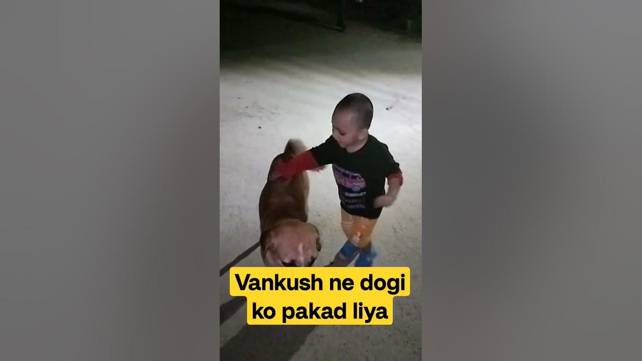 Vankush ne dogi ko pakad liya funnymoments youtube