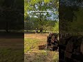 60 Of The Time It Works 100 Of The Time 