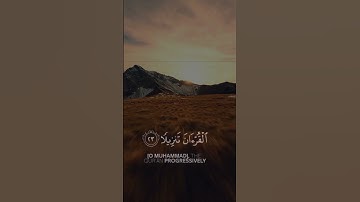 (إنا نحن نزلنا عليك القرآن تنزيلا)#تلاوة_هادئة #أرح_سمعك_وقلبك #اسلام_صبحي