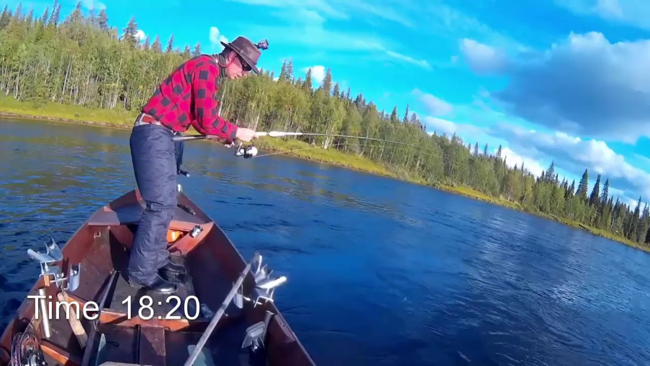 The huge elf salmon of Pakamukka of Muonionjoki river - YouTube