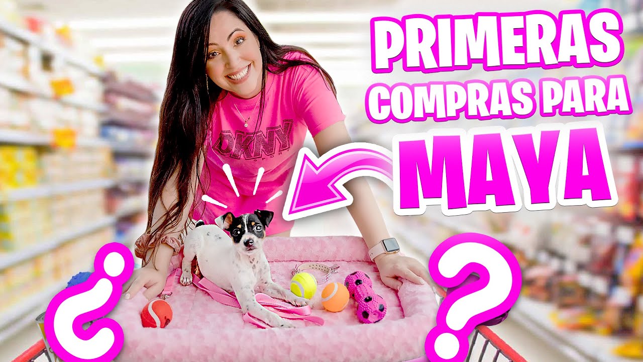 Primeras Compras Para Maya Perrito Bebé Haul Puppy Shopping Spree Sandra Cires Art Video Analysis Report