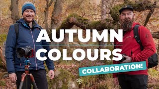 Autumn Woodland Photography