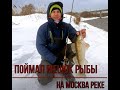 ПОЙМАЛ МЕШОК РЫБЫ НА МОСКВА РЕКЕ, это лучшая приманка