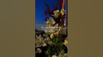 قرآن كريم سورة الفاتحة بصوت الشيخ ماهر المعيقلي 🎧❤️