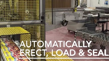 EndFlex case packing machine for carton loading RSC and HSC cases