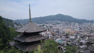 猫の細道で猫探し散歩する