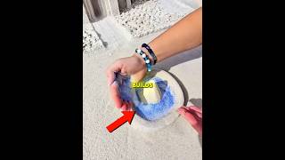 He’s Sister Destroyed his Sand Castle 😳