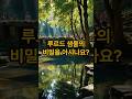 루르드 샘물의 비밀 영상 l 매년 수백만명이 찾는다는 샘물의 비밀은? #이슈 #의약지식 #꿀팁
