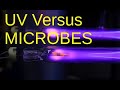 Capsule Découverte Ultraviolet 222nm ou 254nm contre les Pathogènes