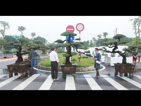 Video Thăm vườn cảnh của 