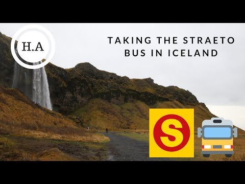 Vidéo: Comment Boire Sur Le Reykjavik Rúntur - Réseau Matador