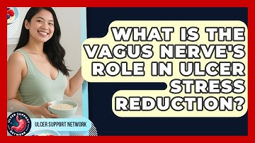 What Is The Vagus Nerve