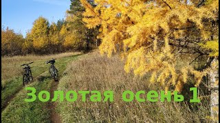 Золотая осень в лесу (часть 1)