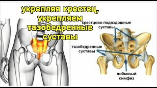 Зажатый Половой Нерв Вызывает Деградацию Половых Органов И Тазобедренных Суставов. Упражнения