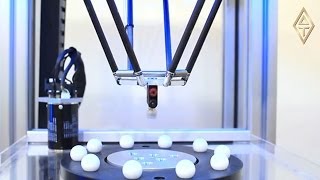 Delta Robot Using Kinematics