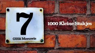 Video thumbnail of "Guus Meeuwis - 1000 Kleine Stukjes (Audio Only)"