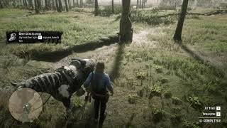 Red Dead Redemption 2 - Legendary Animal Hunt (Roar)