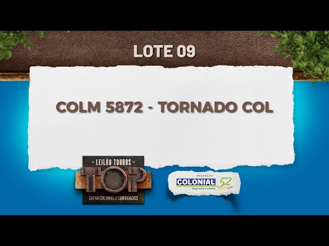 LOTE 09 COLM 5872