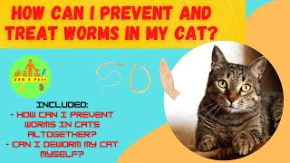 How can I prevent and treat worms in my cat? | What Happens if Worms Go Untreated in Cats? by Gen X Pets 59 views 1 year ago 4 minutes, 37 seconds