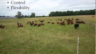 Systems Approach to Building Soil Health and Profitable Livestock Product, Johnny Rogers