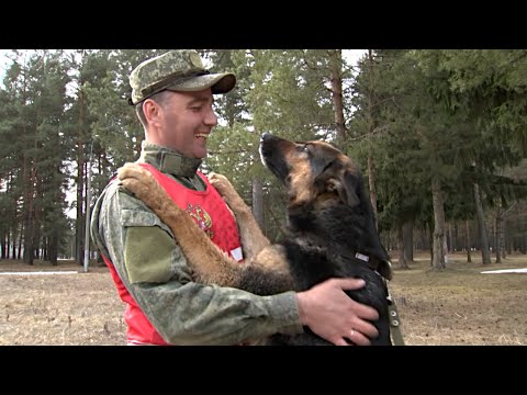 Хвостатые бойцы: как в ЗВО готовятся к финалу конкурса «Верный друг»