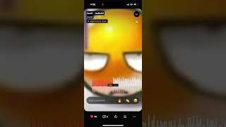 Bunii - bullshit