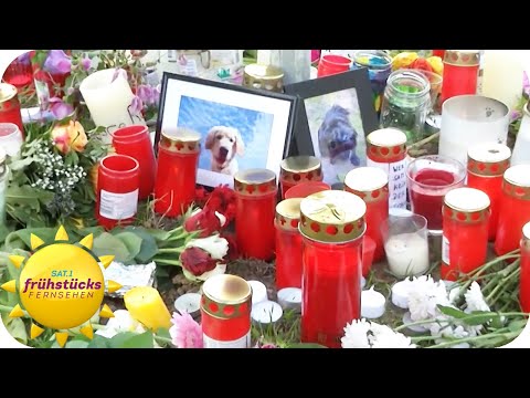 Feiger Giftanschlag -
