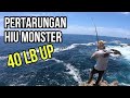 SENGIT !!! STRIKE IKAN MONSTER 40 LB UP