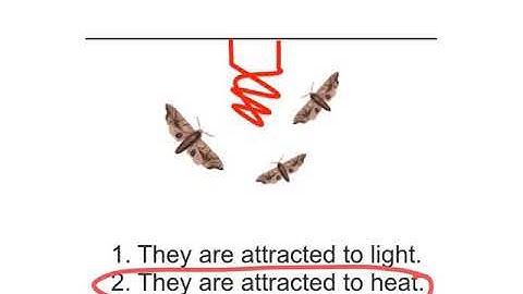 Explain Everything Example