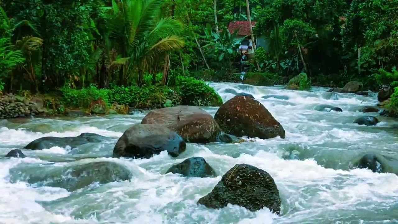 Relaxing River Flowing Sounds | Natural Water Stream for Deep Sleep, Stress Relief & Meditation