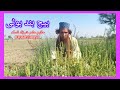 بیج بند بوٹی حکیم عامر شہزاد ڈسکہ 