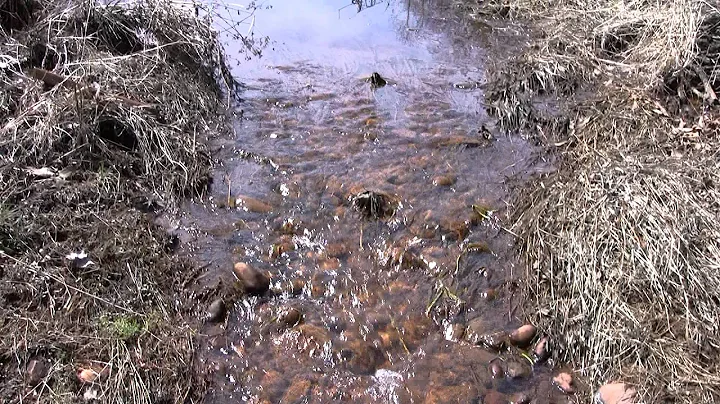 Recreating wetland-stream complexes in urban water...