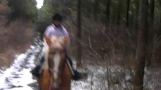 SANY0089.MP4