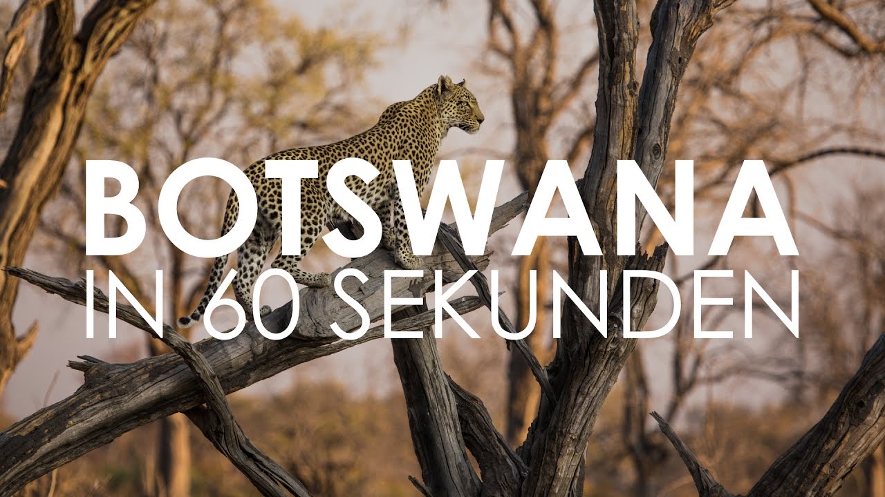 Botswana in 60 Sekunden | Rhino Africa