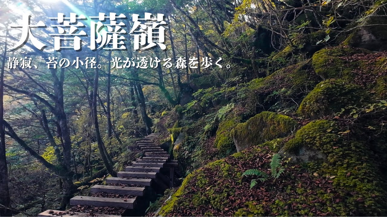 大菩薩嶺｜静寂、苔の小径。光と水の透ける森を歩く。[ nature | hiking ]