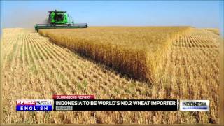 Indonesia Set to Become Asia's Largest Importer of Wheat screenshot 5