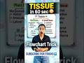 Tissue in1 minute#ncertbiology #cbse #tissue #flowchart #biologyatfingertips #biologyshorts #science