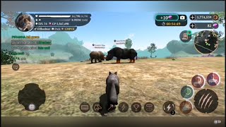 Sumatran Rhinos & more champs - 26.9.2021 /with Braňo & zKendra