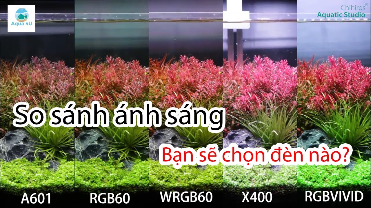 So sánh ánh sáng 5 loại đèn thủy sinh phổ biến nhất... - youtube