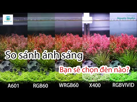 Video So sánh ánh sáng 5 loại đèn thủy sinh phổ biến nhất... - youtube