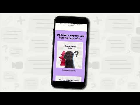 Introducing DodoVet - Introducing DodoVet
