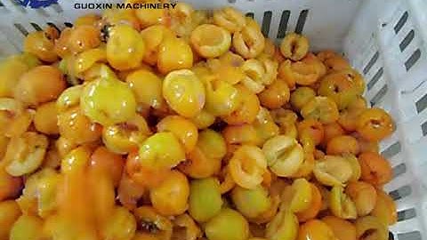 apricot pitting machine