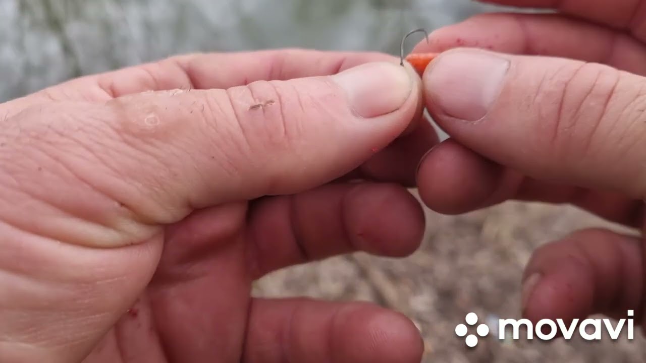 PESCUIT LA PLUTĂ, baraj Supcetate !!!!