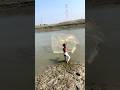 River cast net fishing #castnetfishing #handfish #handfish #fishingequipment #fishboat #foryou