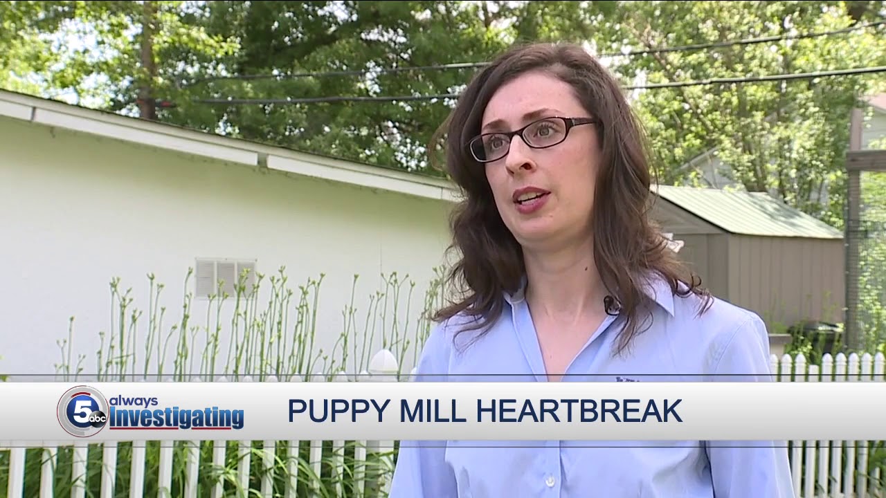 Puppy mill problems: USDA redacts animal welfare information
