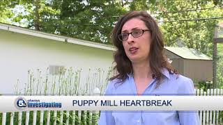Puppy mill problems: USDA redacts animal welfare information