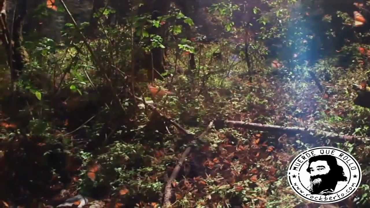 Tabletom. Zero-Zero. Mezclalina (1980)