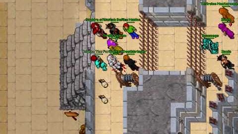 Tibia Isara Kongs Part 1 By Mangolio