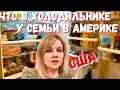 США Что у нас в холодильнике?  / Продукты в холодильнике / Заморозка