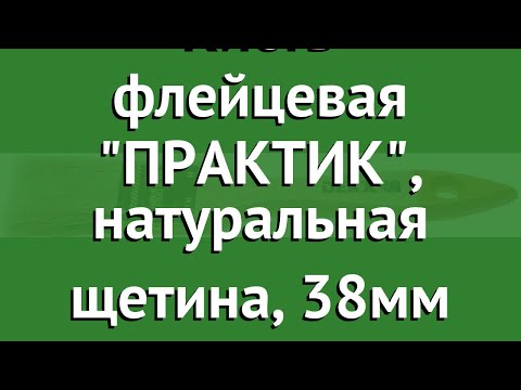 Кисть флейцевая ПРАКТИК, натуральная щетина, 38мм (Dexx) обзор 0100-038_z02